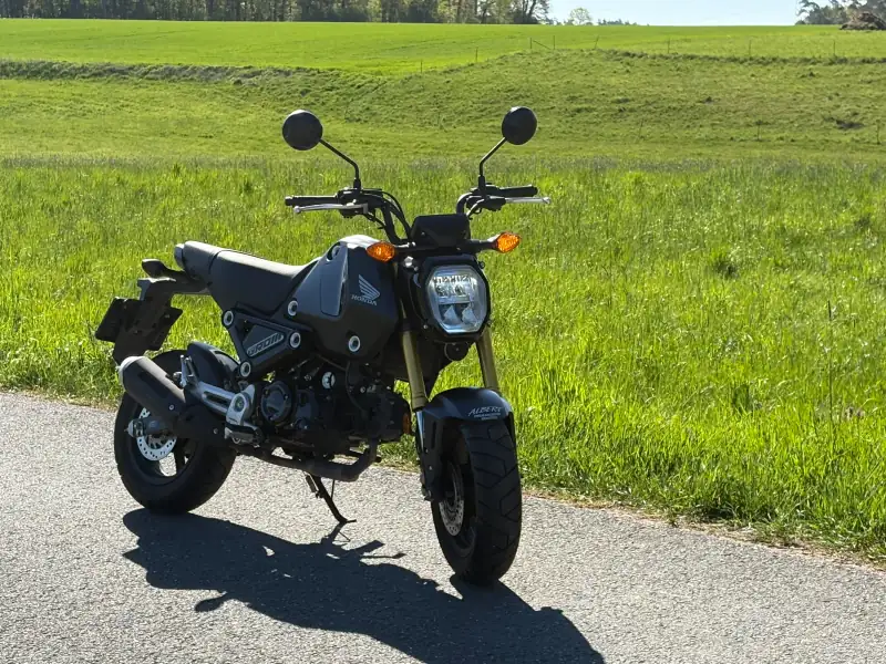 Honda MSX 125 – B196